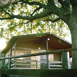 Alloggio per agriturismo Kikajon, Linguaglossa